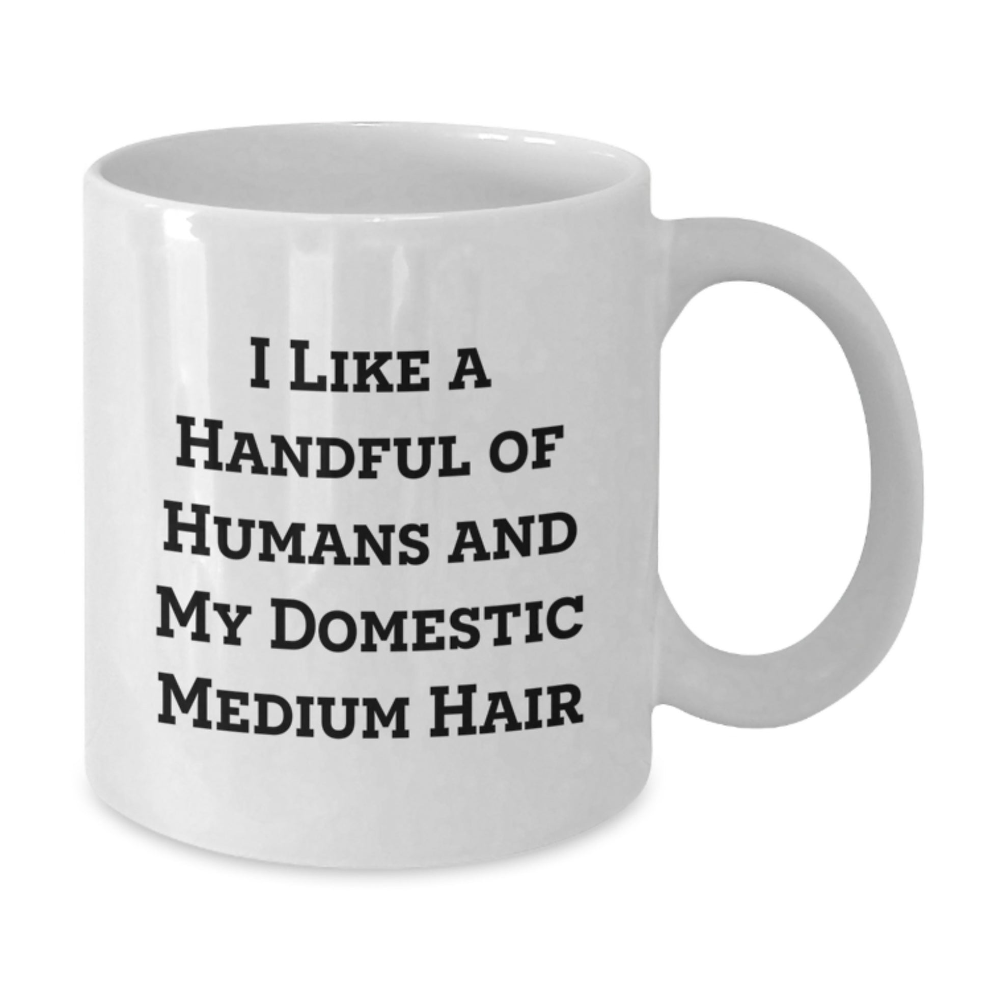 Funny Domestic Medium Hair Cat Gifts from Men for Women, White Coffee Mug for Christmas Unique Presents - Additional