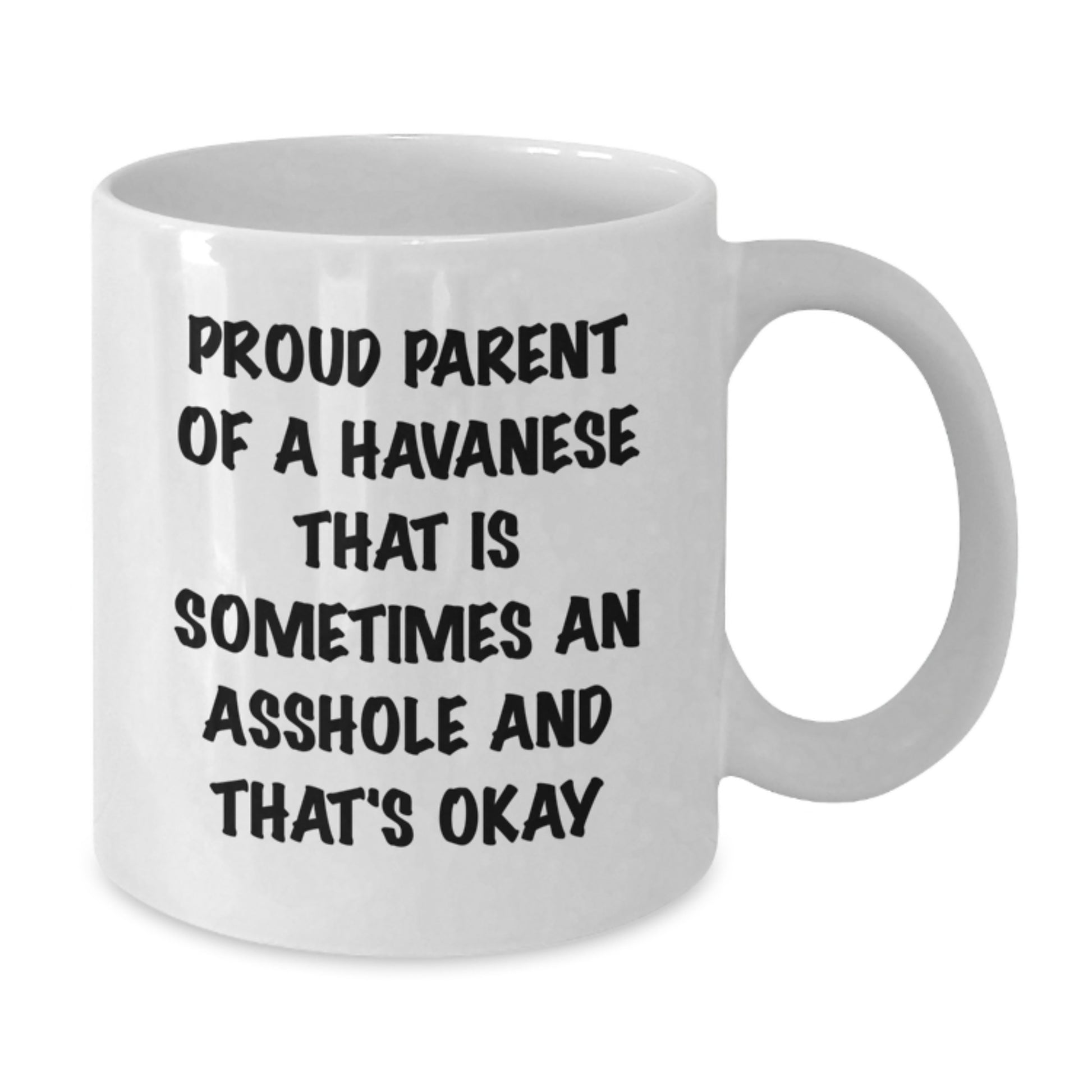 Funny Havanese Dog Gifts for Men from Proud Parents White Coffee Mug - Graduation Unique - Additional