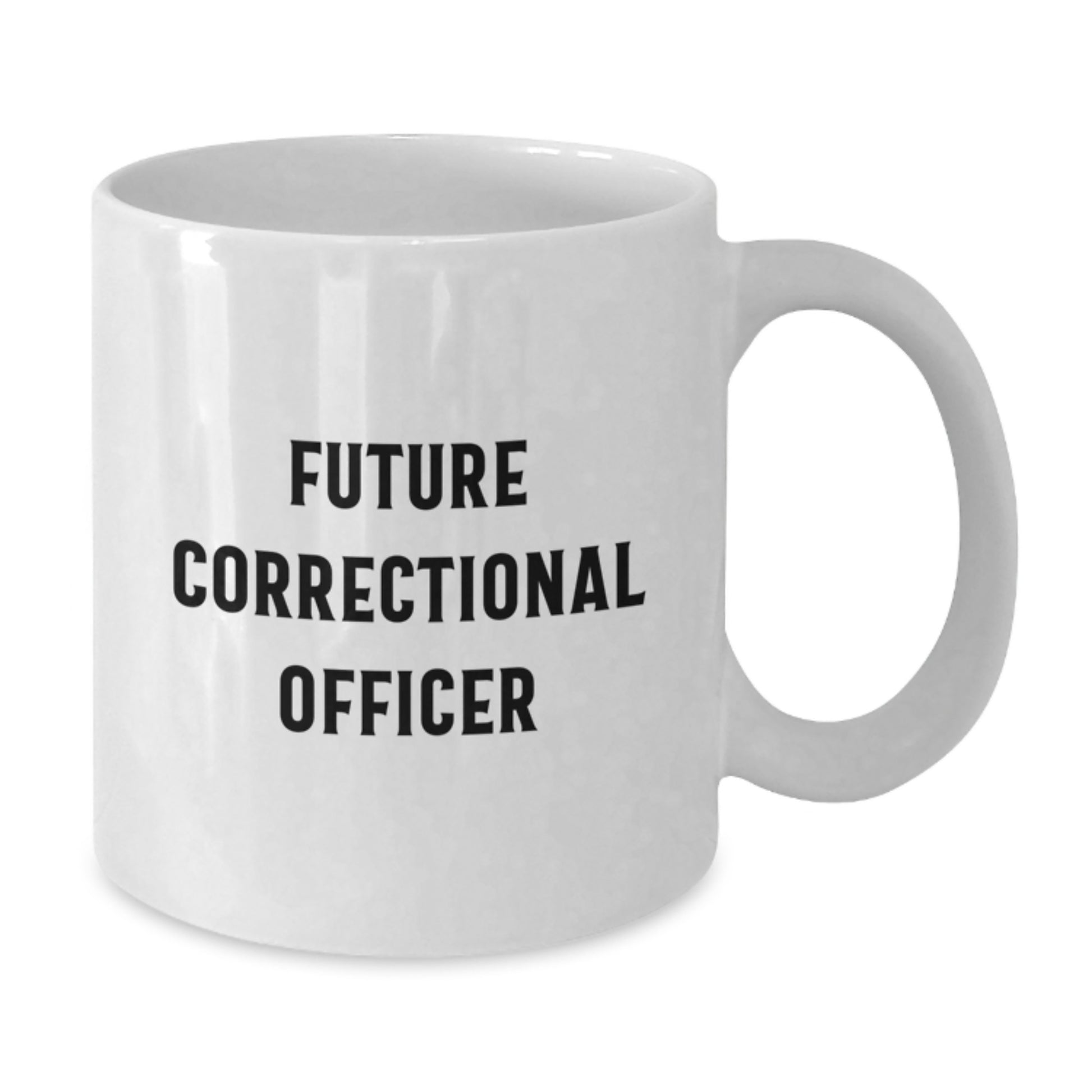 Funny Quote Gifts for Correctional Officer, White Coffee Mug with Inspirational Message, Unique Christmas Unique Gifts from Friends to Family - Additional