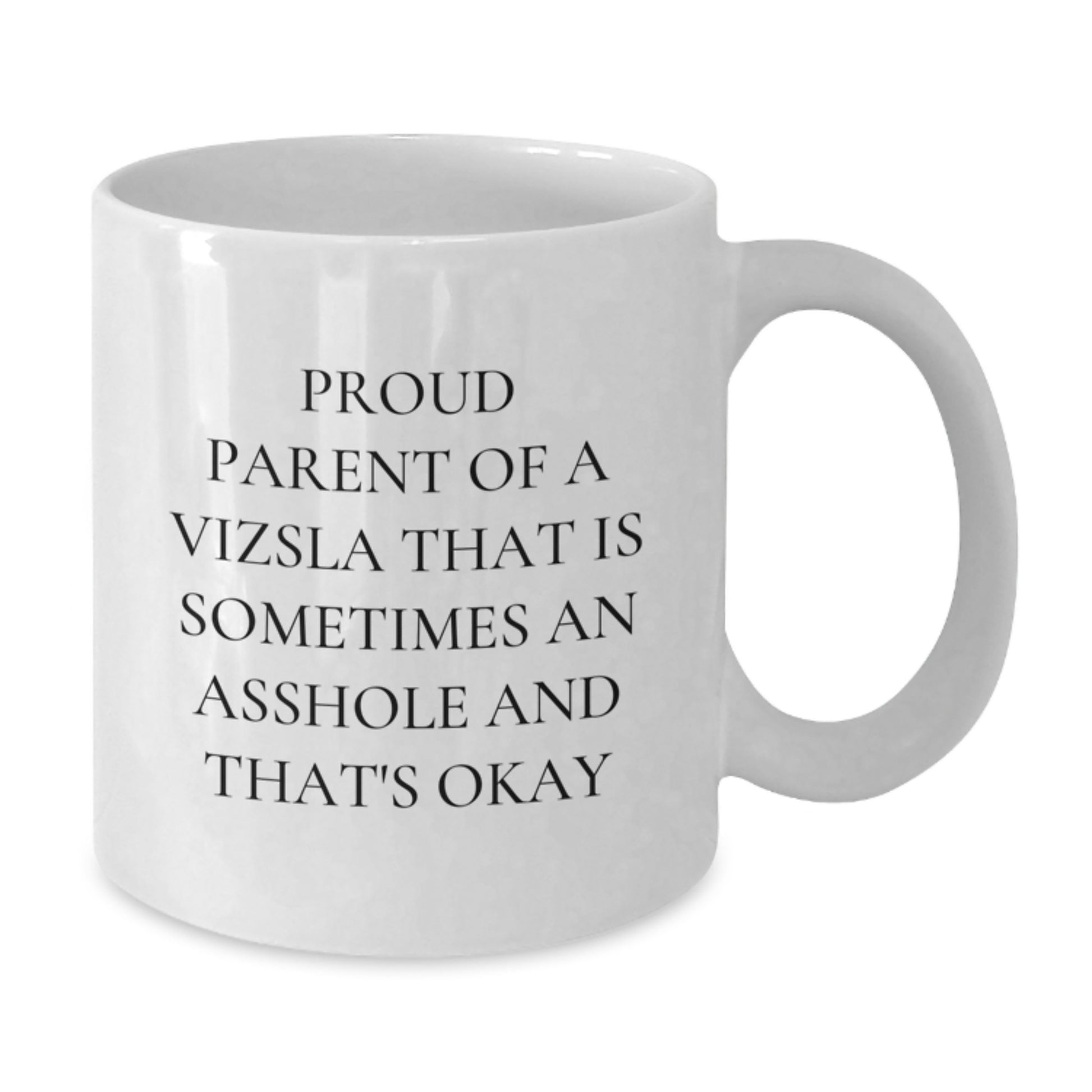 Funny Vizsla Dog Gifts from Men, Gifts for Proud Vizsla Dog Parents, White Coffee Mug for Graduation Unique Occasions - Additional
