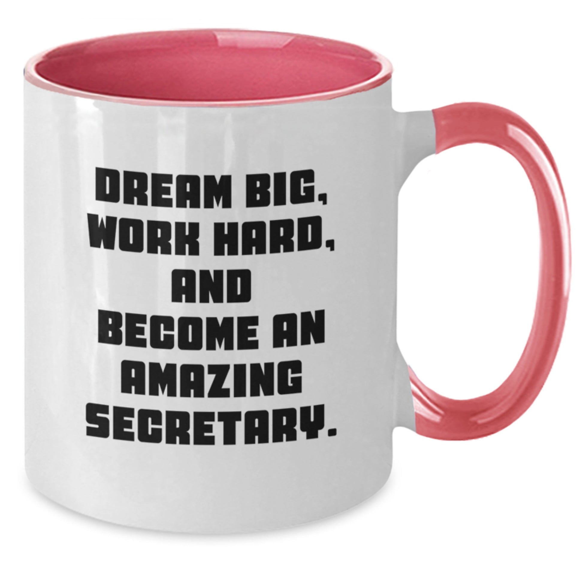 Funny Secretary Quotes Gifts from Friends and Family for Secretary Men and Women, Two Tone Coffee Mug, Encouragement and Inspiration on Christmas - Additional