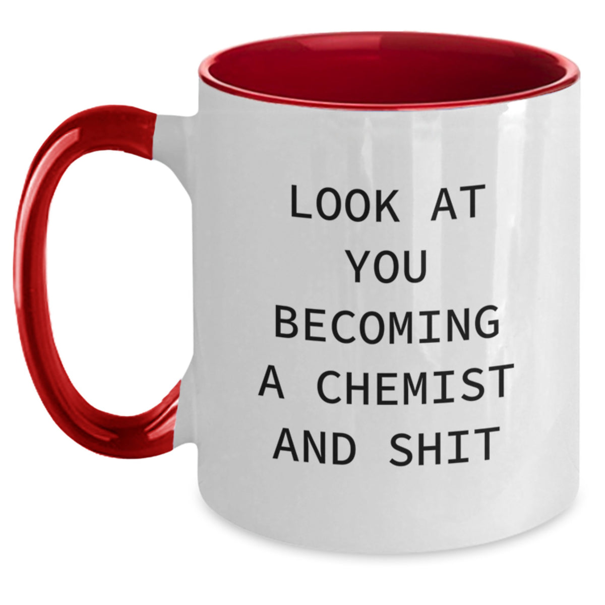 Christmas Gift for Her Humorous Chemist Present - Look At You Becoming A - Main