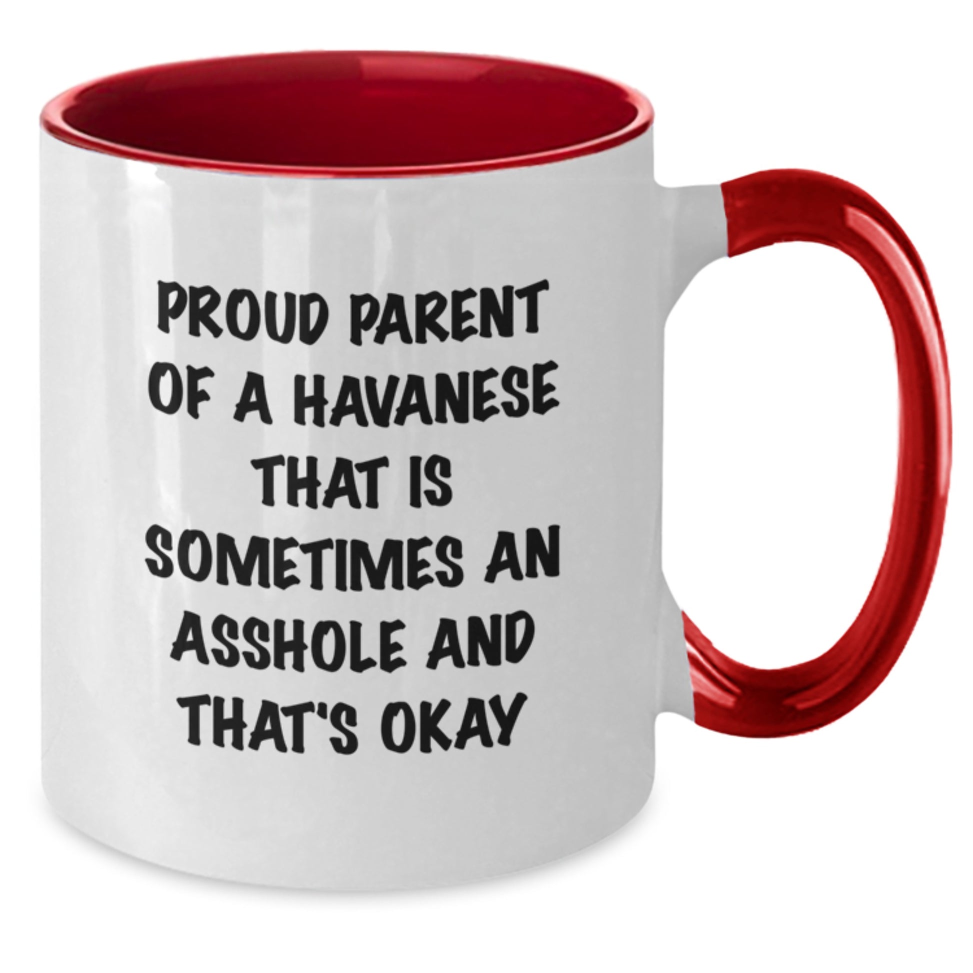 Funny Havanese Dog Gifts for Him - Proud Parent Coffee Mug, Two Tone Mugs for Graduation Unique Gifts from Friends - Additional