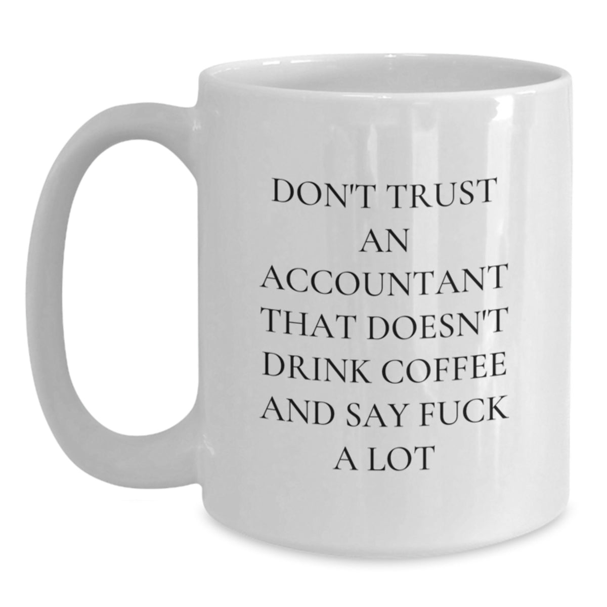 Christmas Gift for Her Accountant's Humorous Coffee Mug Present - Main