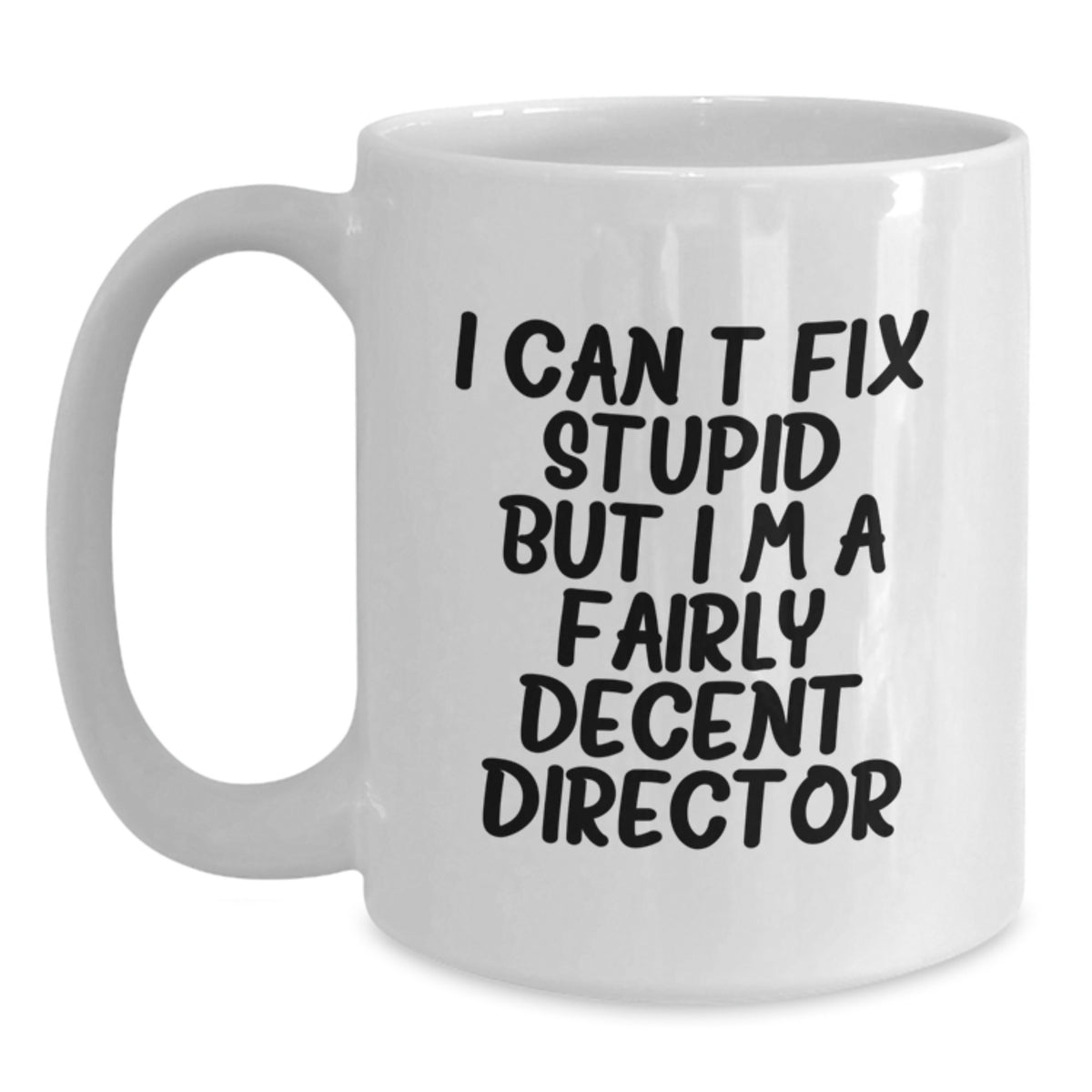 Director Gift for Him - I Can't Fix Stupid, Fairly Decent Director - Main