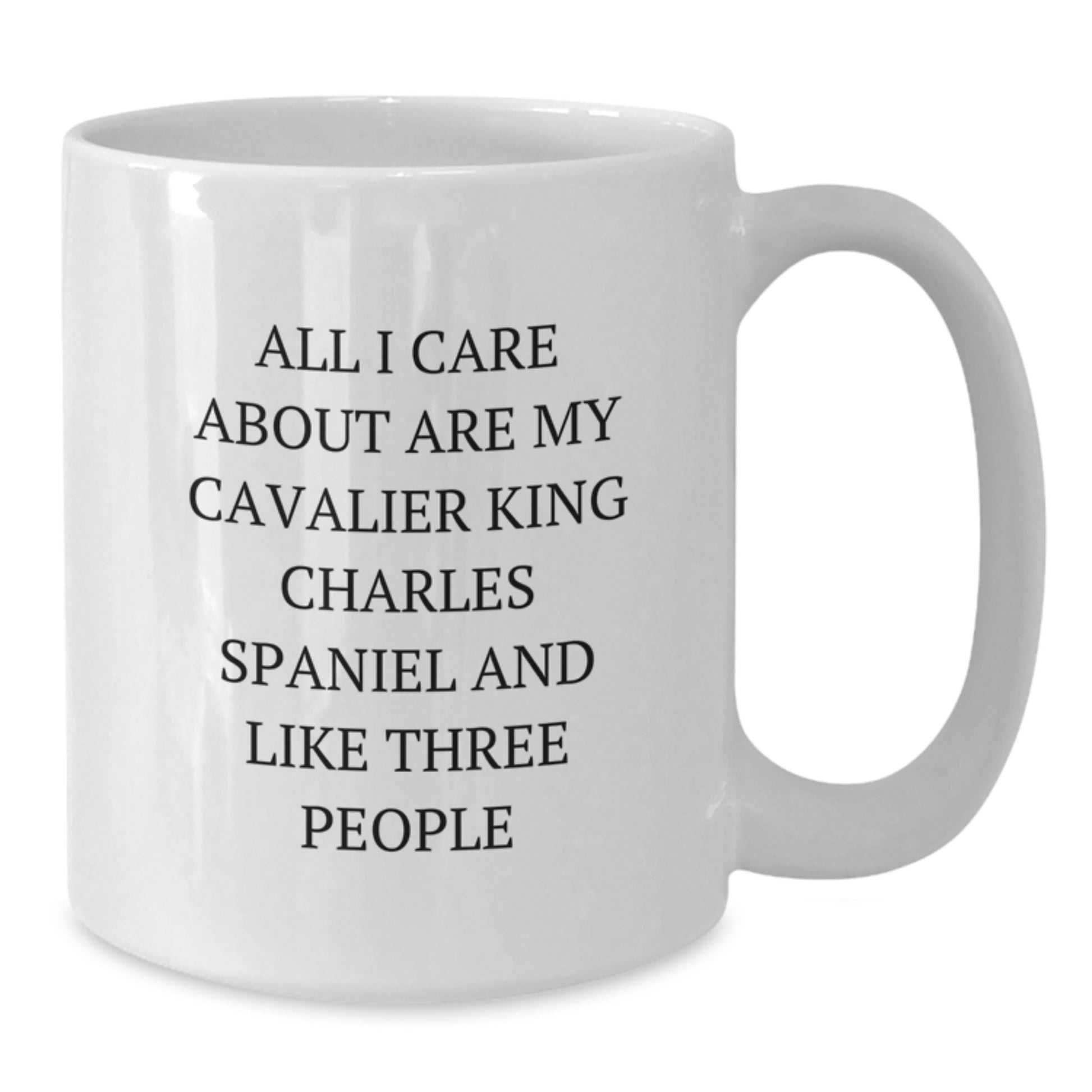 Funny Cavalier King Charles Spaniel Dog Lover Gifts from Friends Valentine's Unique - Additional