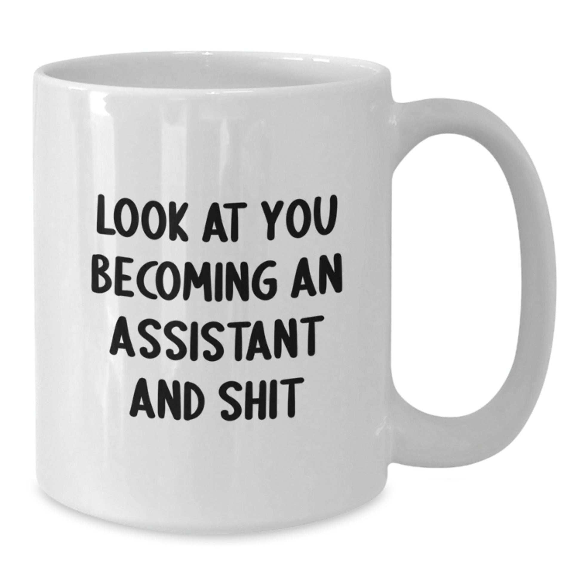 Funny Assistant Quote White Coffee Mug Gifts from Men to Graduation Unique Gifts for Assistant - Additional