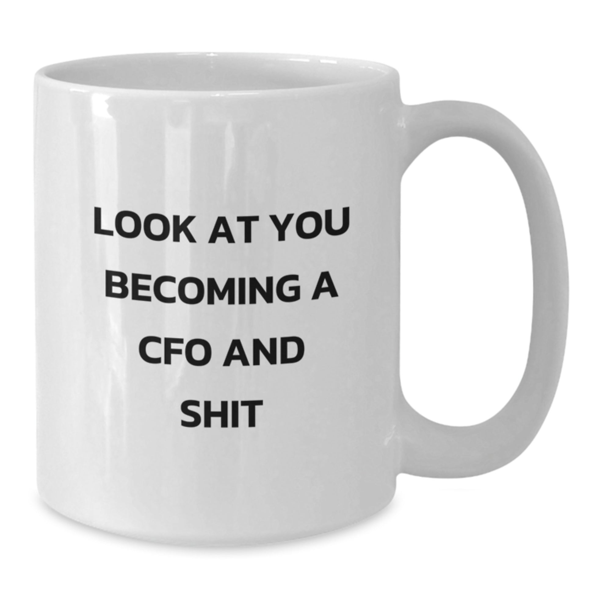 Funny Gifts from Friends to CFOs - Look At You Becoming A CFO And Shit White Coffee Mug for Graduation Unique Gifts - Additional