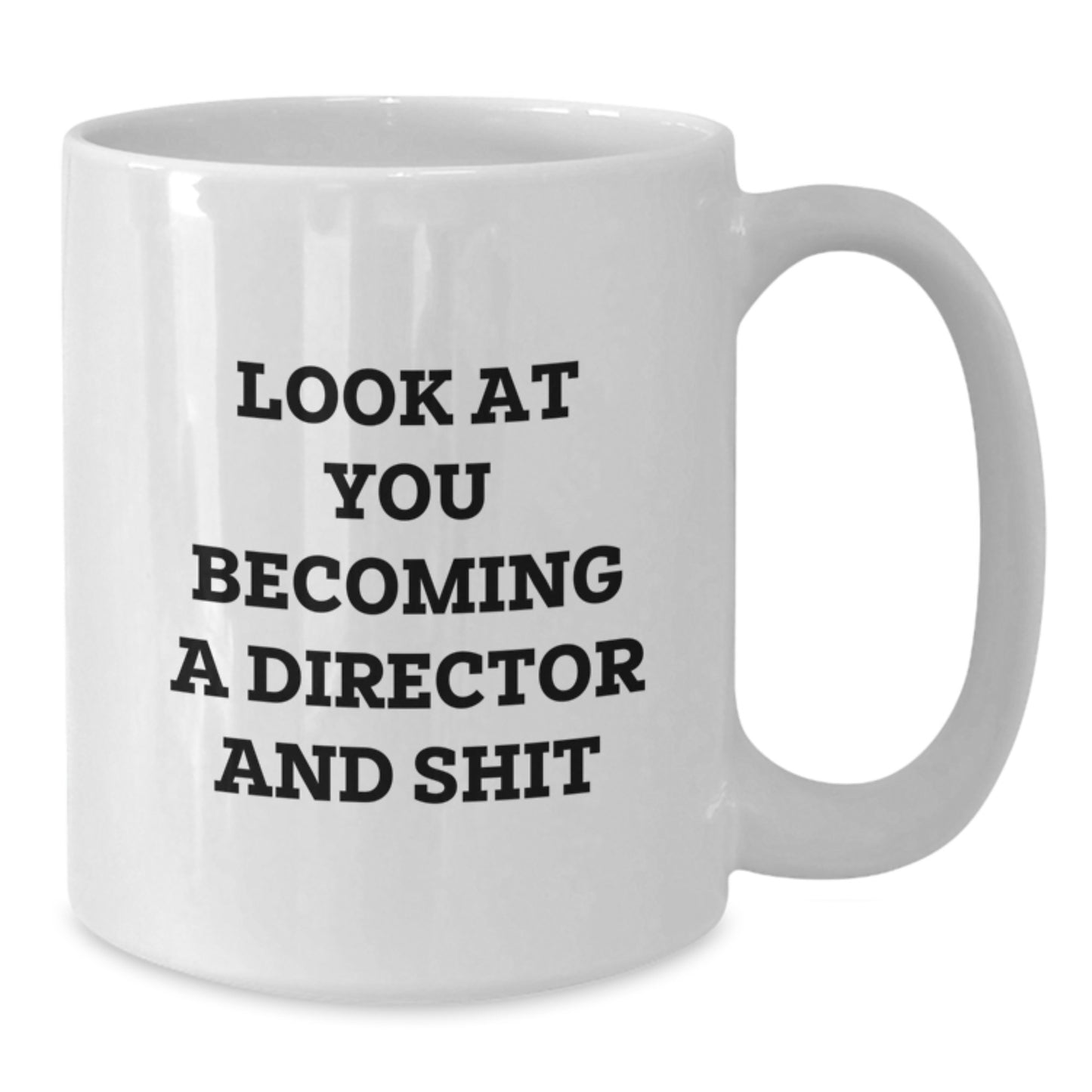 Funny Director White Coffee Mug, Gifts for Graduation Unique Director Friends, Gifts from Men to Women - Additional