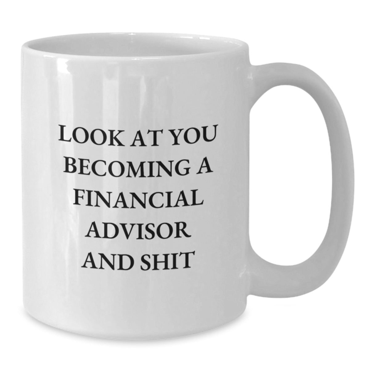Financial Advisor Gift for Him A Hilarious Keepsake Mug - Additional