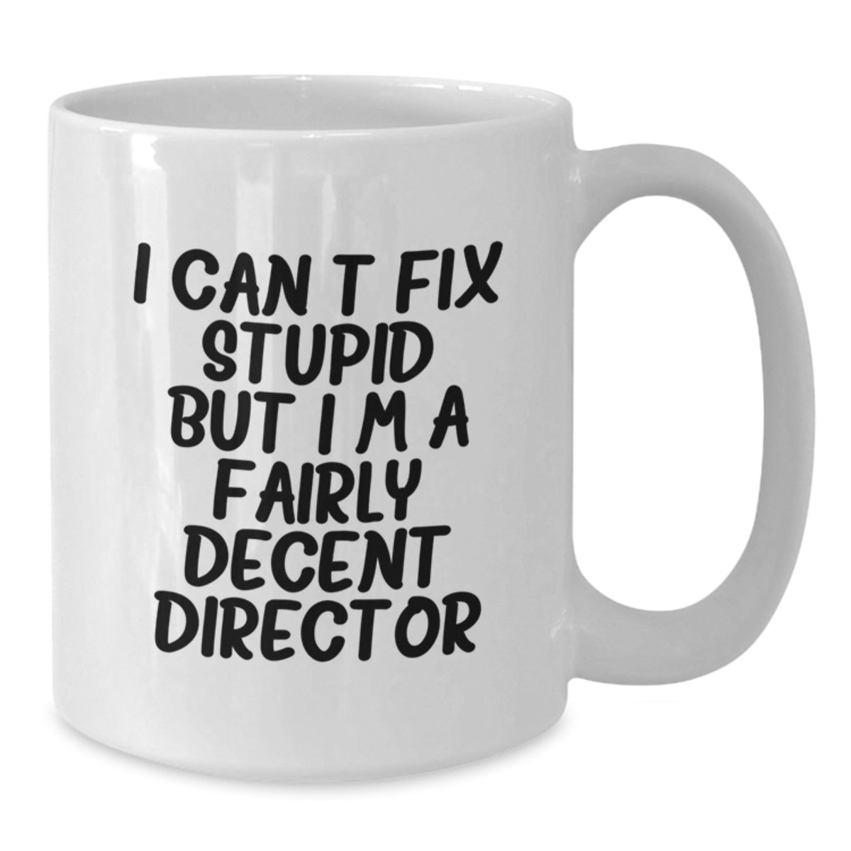 Director Gift for Him - I Can't Fix Stupid, Fairly Decent Director - Additional