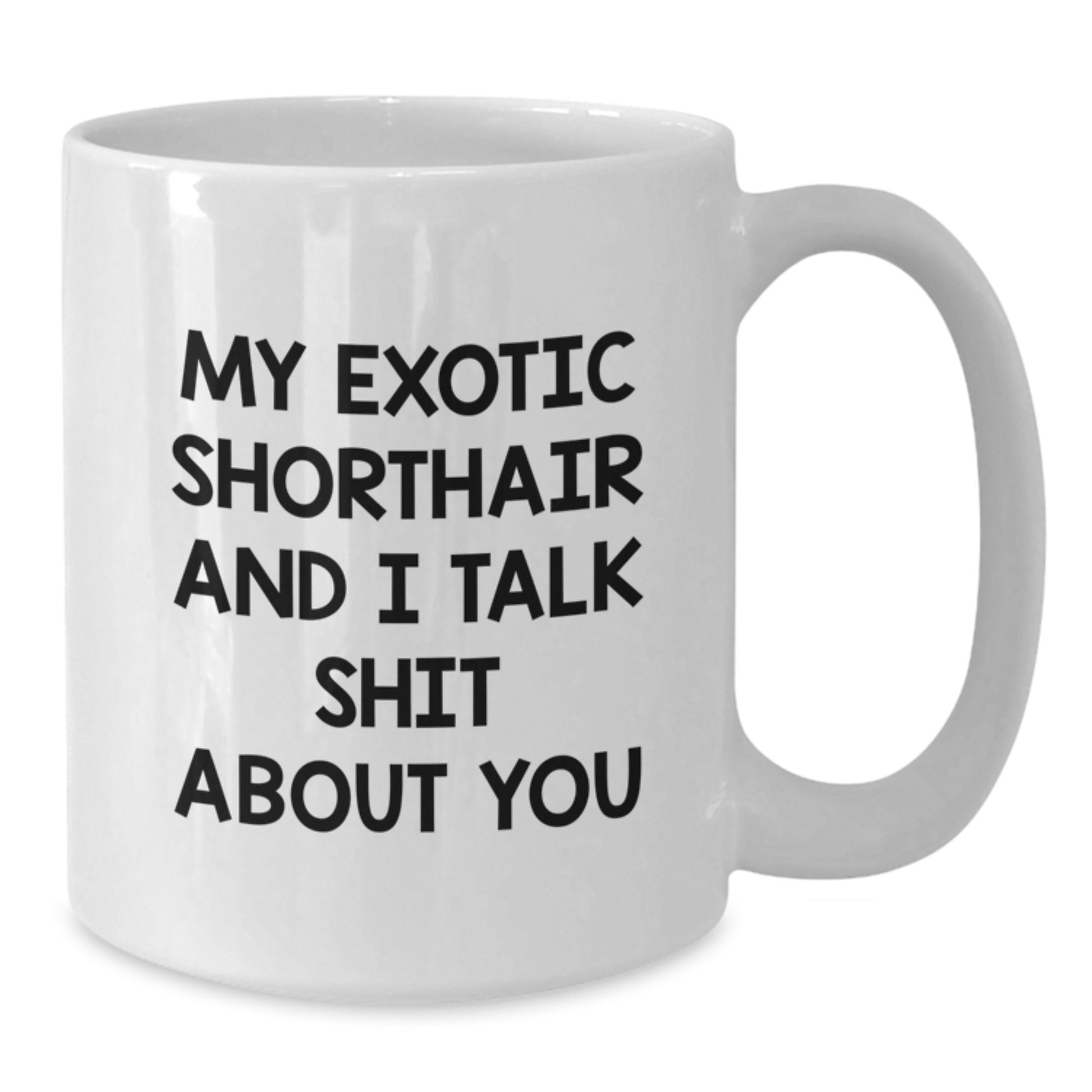 Funny Exotic Shorthair Cat Gifts for Men - 'My Exotic Shorthair And I Talk Shit About You' White Coffee Mug for Graduation Unique Gifts from Men to Family - Additional