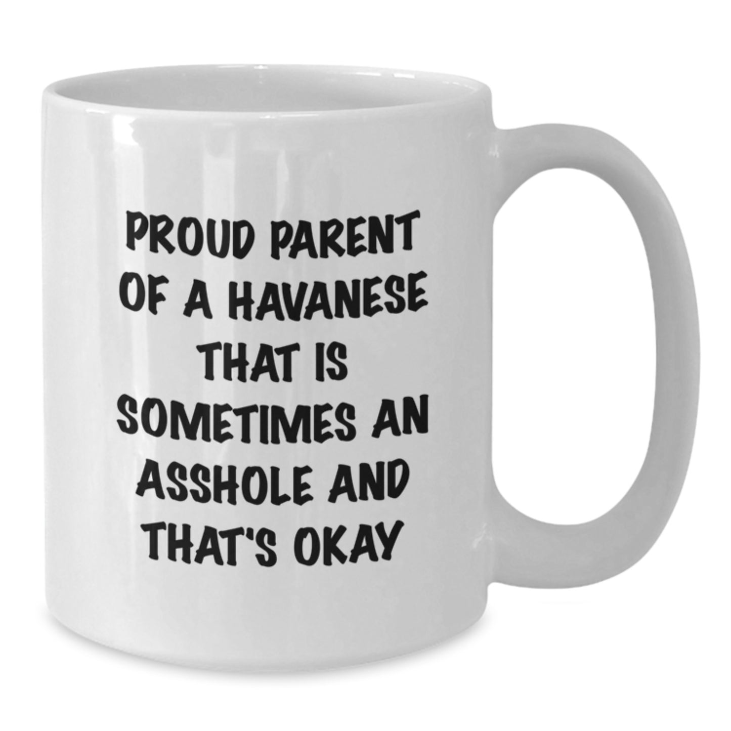Funny Havanese Dog Gifts for Men from Proud Parents White Coffee Mug - Graduation Unique - Additional