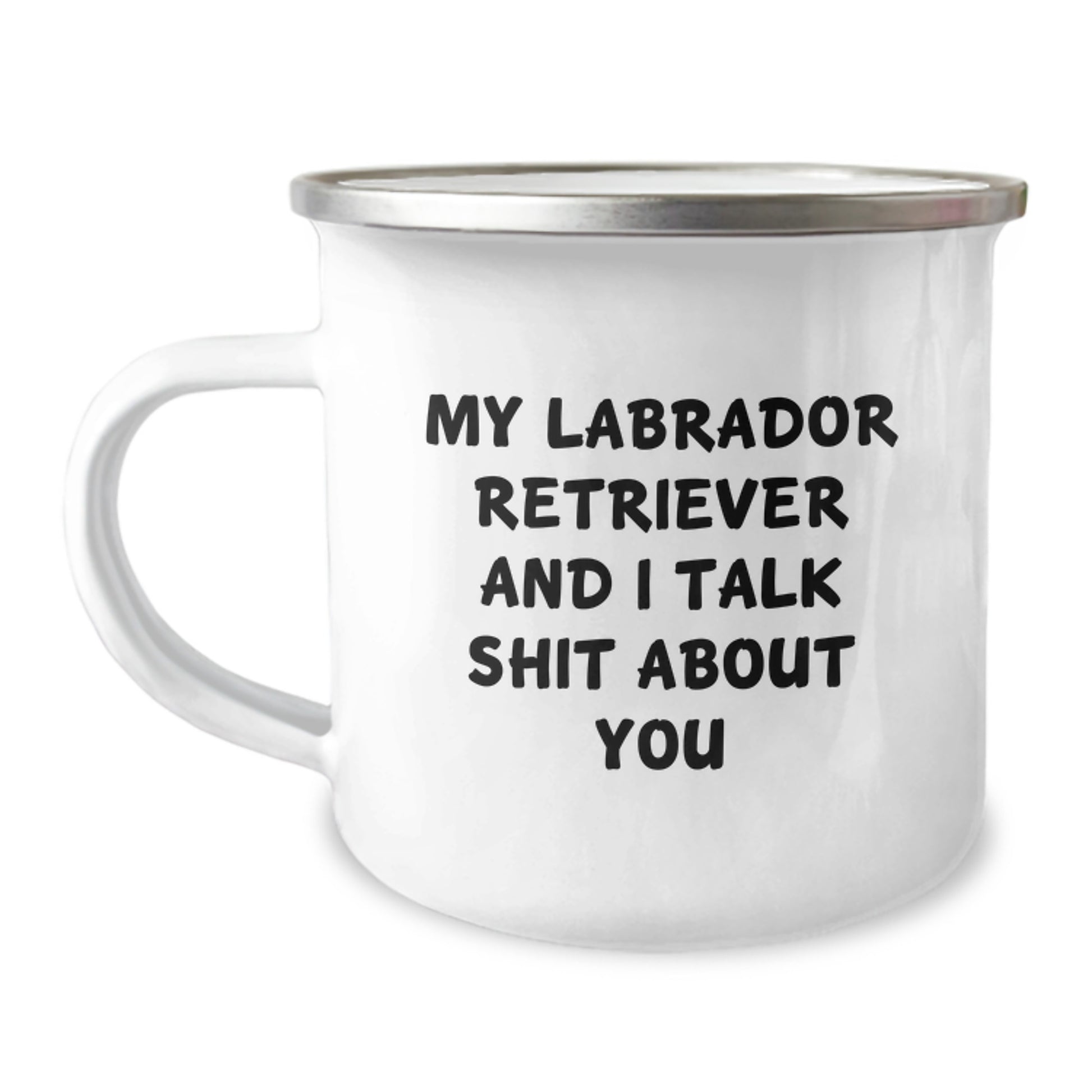 Funny Labrador Retriever Dog Gifts from Friends - My Labrador Retriever And I Talk Shit About You Graduation Unique Mugs for Men Women - Image 1