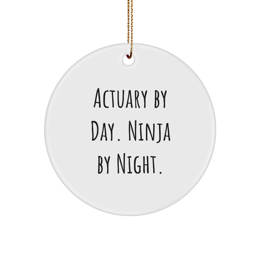 Funny Actuary Gifts from Friends, Christmas Circle Ornament for Actuary By Day Ninja By Night, Unique Christmas Unique Gifts - Image 1