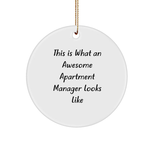 Funny Apartment Manager Gifts, Christmas Unique Circle Ornament, Inspirational Quote, Gifts from Friends and Family - Image 1