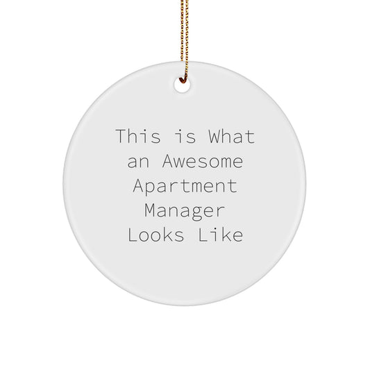Funny Apartment Manager Gifts for Men, 'This Is What An Awesome Apartment Manager Looks Like', Circle Ornament, Christmas Unique Gifts from Friends - Image 1