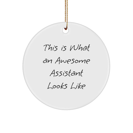 Funny Assistant Gifts for Men, Women, Coworkers and Family - Christmas Unique Circle Ornament - Image 1
