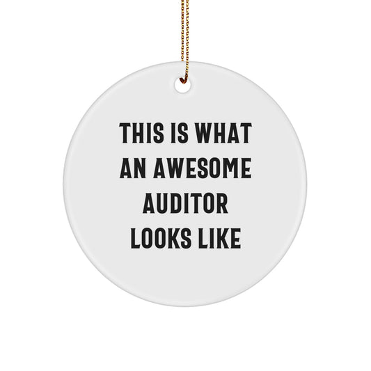 Funny Auditor Gifts, Circle Ornament with 'This Is What An Awesome Auditor Looks Like' Quote, Perfect for Christmas, Gifts from Friends, Family, or Coworkers, for Auditor and Auditor Enthusiasts - Image 1