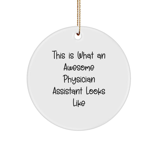 Gifts from Family for Physician Assistant, Awesome PA Christmas Circle Ornament, Funny Quote - Image 1