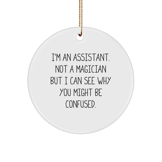 Funny Assistant Circle Ornament Gifts from Men to Christmas Unique Gifts for Assistant Friends - Image 1