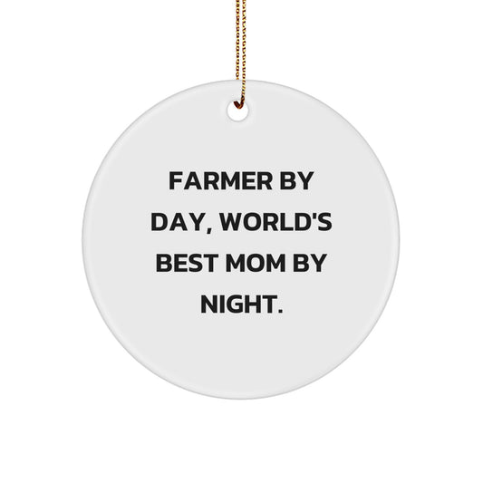 Funny Farm Circle Ornament Gifts from Family for Farmer, Christmas Unique Gifts - Image 1