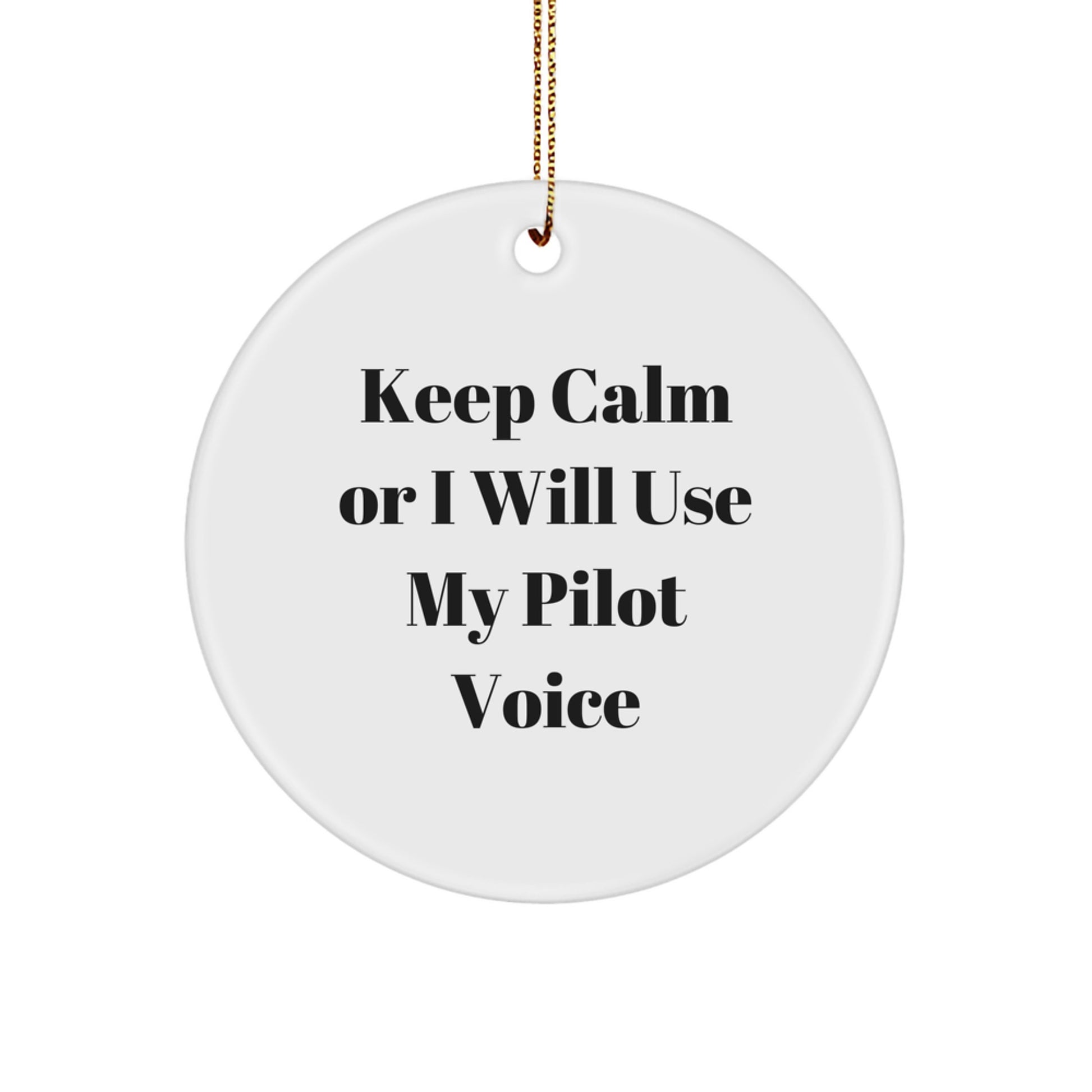 Funny Pilot Circle Ornament Gifts for Pilot Friends from Men - Image 1