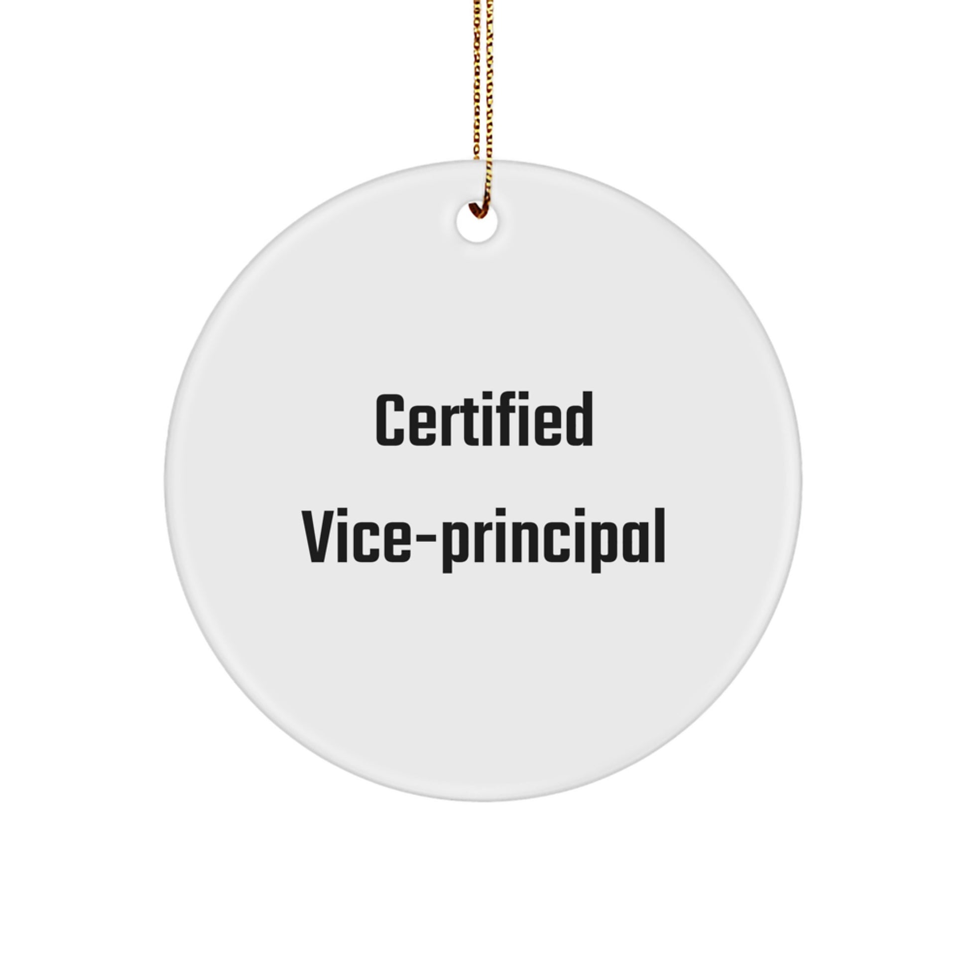 Funny Vice-principal Gifts from Friends, Certified Vice-principal Christmas Unique Gifts, Circle Ornament with Inspirational Quote - Image 1
