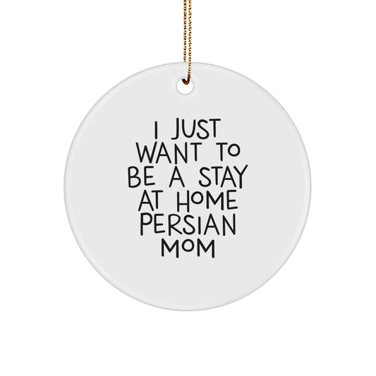 Funny Persian Cat Mom Gifts for Women - Christmas Unique Circle Ornament from Mom to Daughter - Image 1
