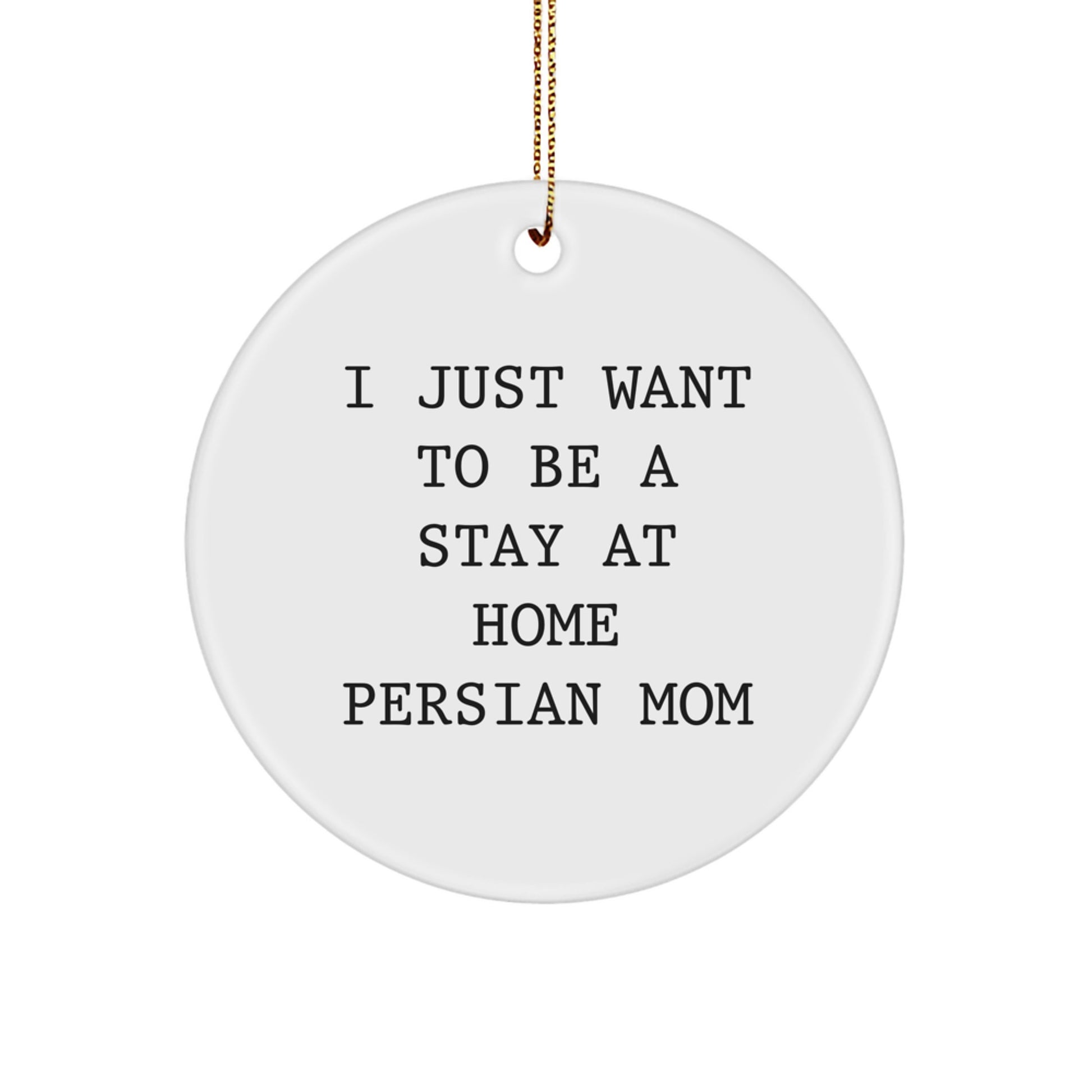 Funny Persian Cat Gifts from Family for Christmas - I Just Want To Be A Stay At Home Persian Mom Circle Ornament - Image 1