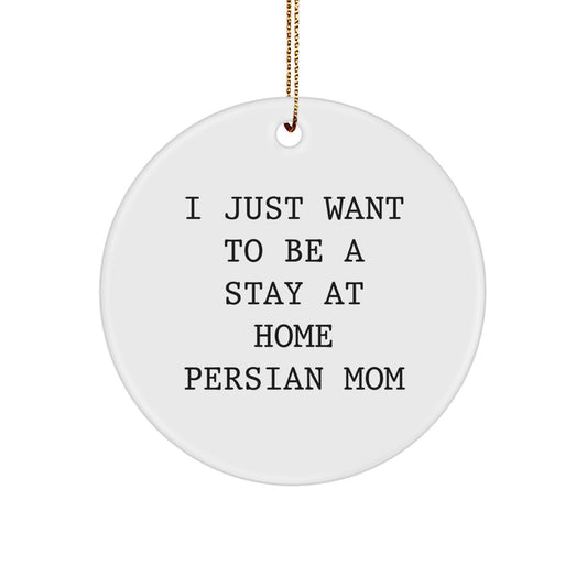Funny Persian Cat Gifts from Family for Christmas - I Just Want To Be A Stay At Home Persian Mom Circle Ornament - Image 1