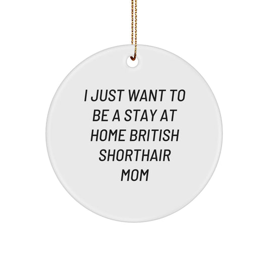 Funny British Shorthair Cat Christmas Circle Ornament Gifts from Mom to Daughter - Image 1