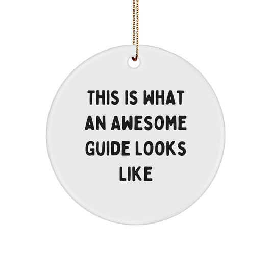 This Is What An Awesome Guide Looks Like Funny Christmas Circle Ornament Gifts from Mom for Guide Lovers with Holiday Cheer - Image 1