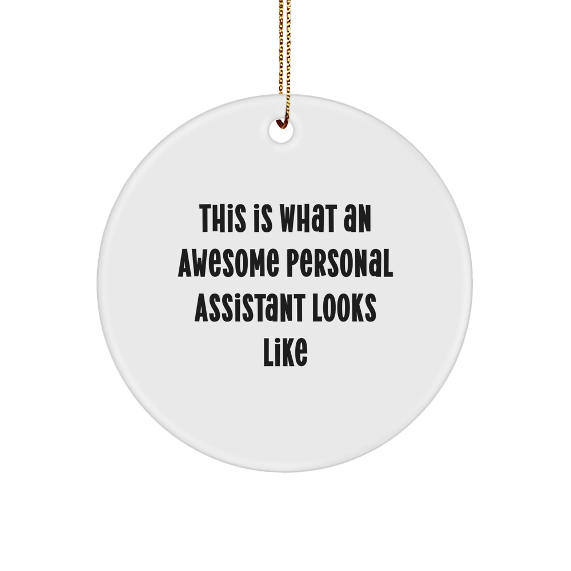 Personal Assistant Gifts from Friends for Family - This Is What an Awesome Personal Assistant Looks Like, Circle Ornament for Christmas - Image 1