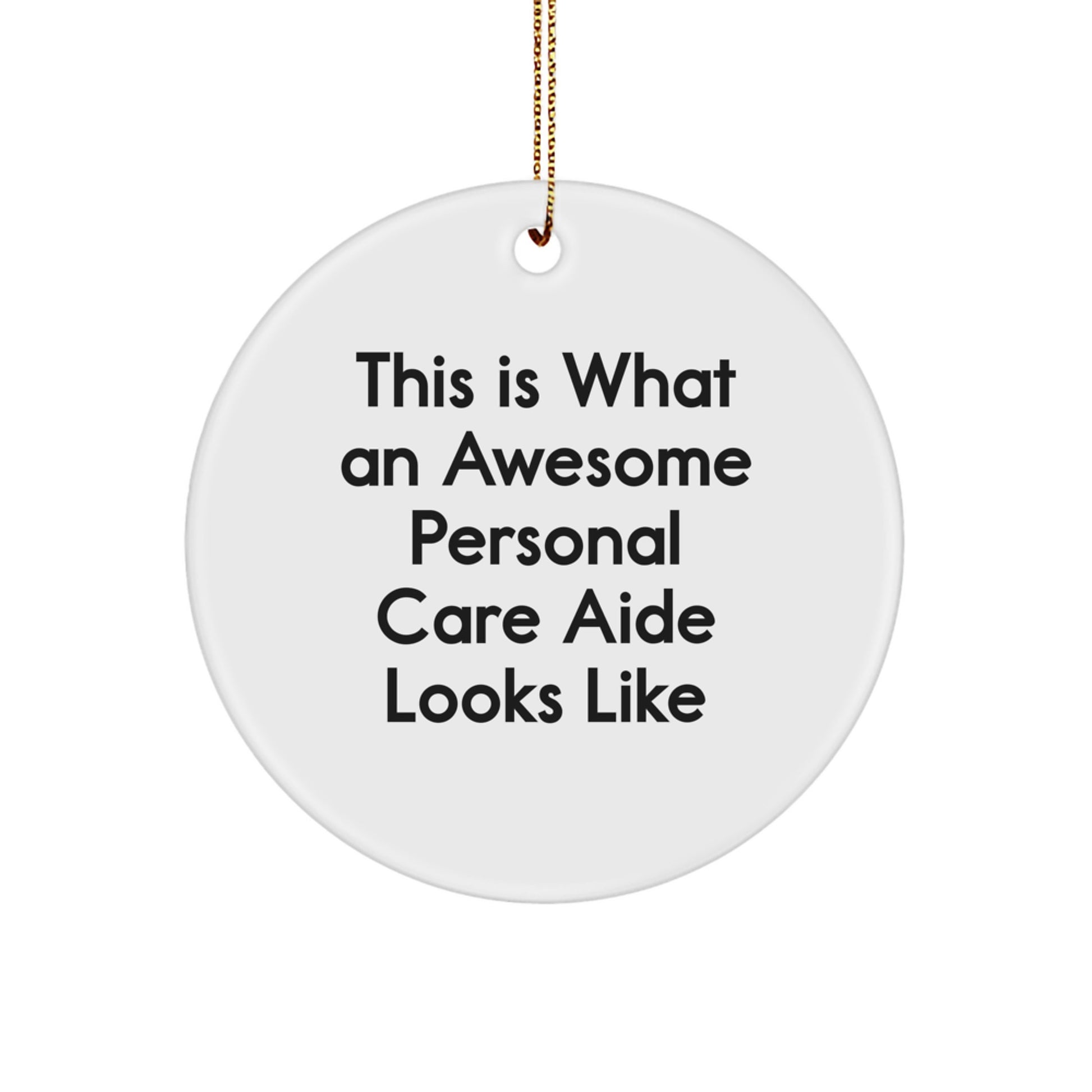 Funny Personal Care Aide Gifts from Friends for Personal Care Aide Circle Ornament This Is What An Awesome Personal Care Aide Looks Like, Christmas Unique Gifts - Image 1