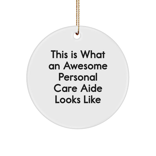 Funny Personal Care Aide Gifts from Friends for Personal Care Aide Circle Ornament This Is What An Awesome Personal Care Aide Looks Like, Christmas Unique Gifts - Image 1