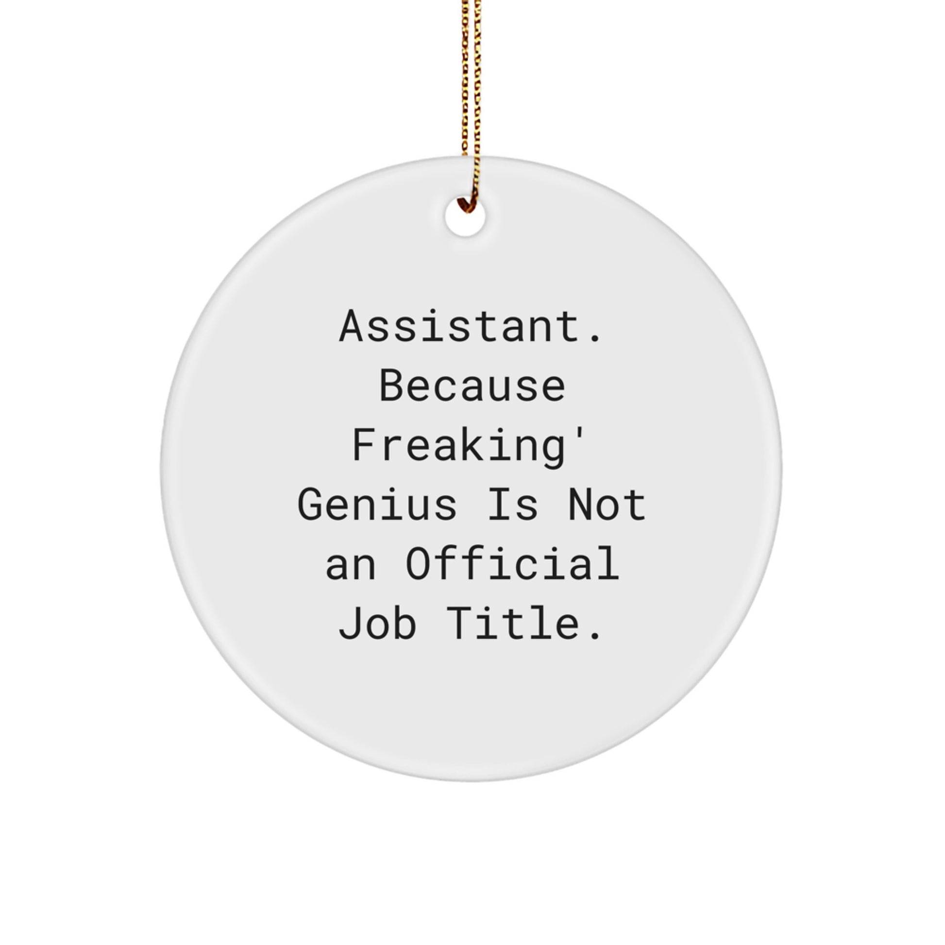 Funny Assistant Gifts from Friends, Men or Women for Assistant Circle Ornament on Christmas Unique Gifts - Image 1