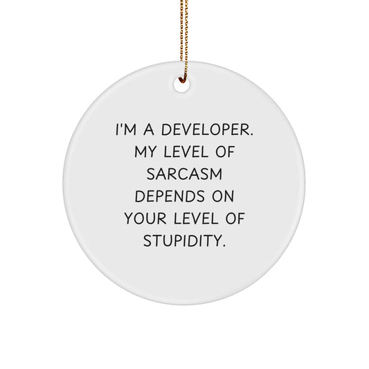 Funny Developer Gifts from Friends, Developer Circle Ornament, Christmas Unique Gift for Developer - Image 1