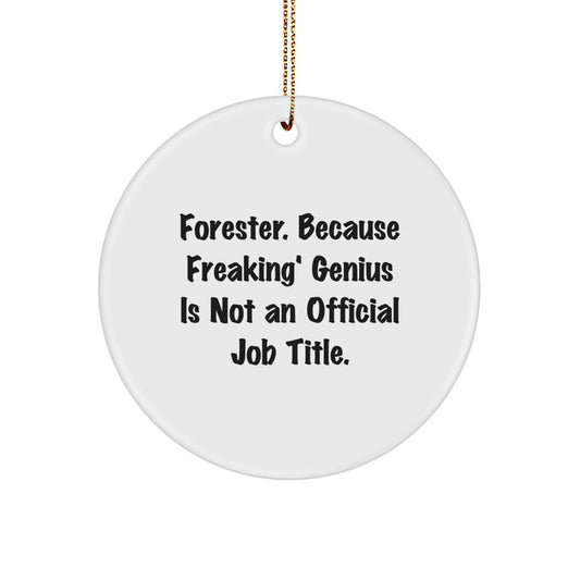 Funny Forester Gifts from Family, Christmas Unique Circle Ornaments for Friends, Forester Circle Ornament, Gifts for Forester Men, Because Freaking' genius Is Not An Official Job Title. - Image 1