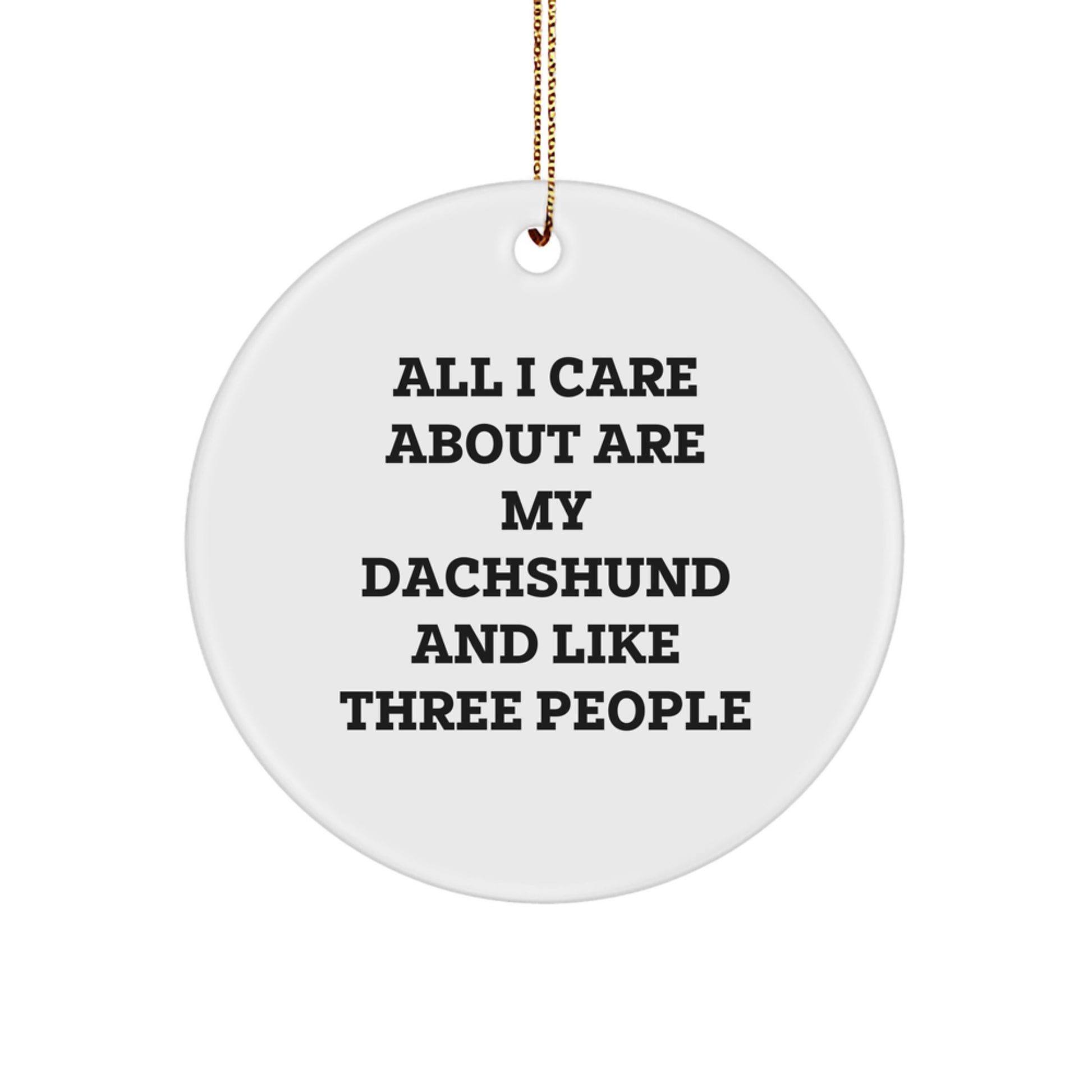 Funny Dachshund Dog Lover Gifts from Men for Women to Show Love and Care, Unique Christmas Ornaments for Home Decor - Image 1