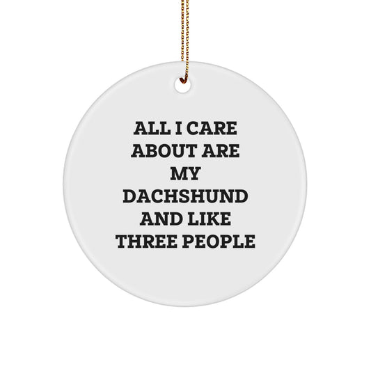 Funny Dachshund Dog Lover Gifts from Men for Women to Show Love and Care, Unique Christmas Ornaments for Home Decor - Image 1