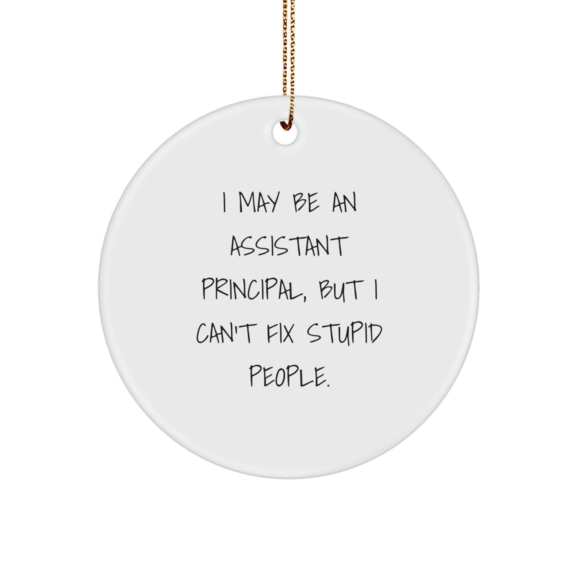 Funny Assistant Principal Christmas Unique Gifts for Men, Women, Coworkers, Family, 'I May Be An Assistant Principal, But I Can't Fix Stupid People.' Circle Ornament - Image 1