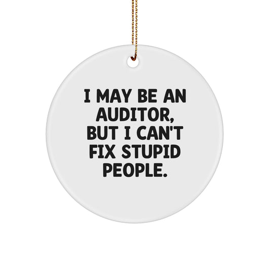 Funny Auditor Gifts for Auditors, Circle Ornament, I May Be An Auditor, But I Can't Fix Stupid People., Christmas Unique Gifts from Friends to Coworkers - Image 1