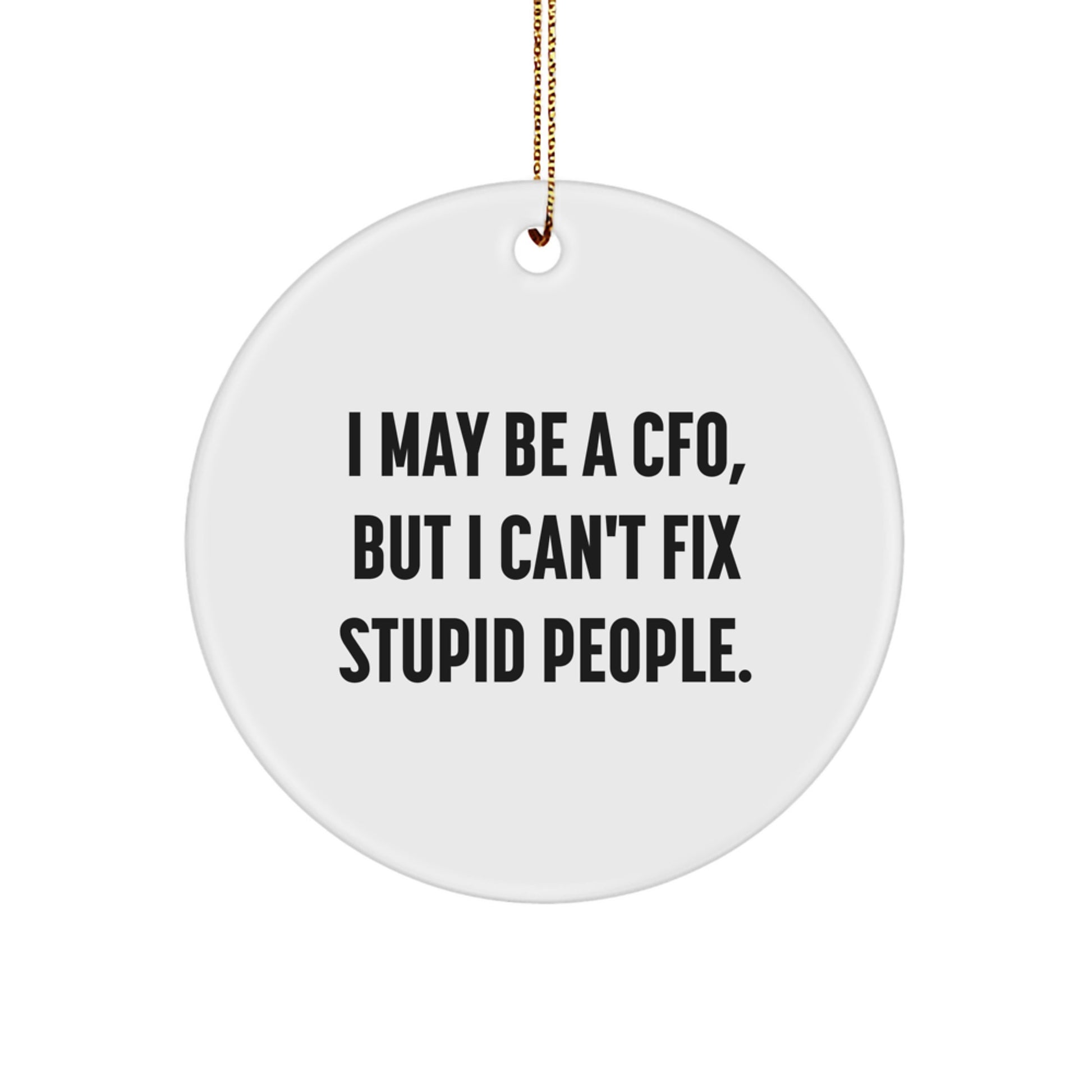 Funny CFO Gifts from Men, Unique Circle Ornaments for Christmas, 'I May Be A Cfo, But I Can't Fix Stupid People.' Quotes for Friends - Image 1