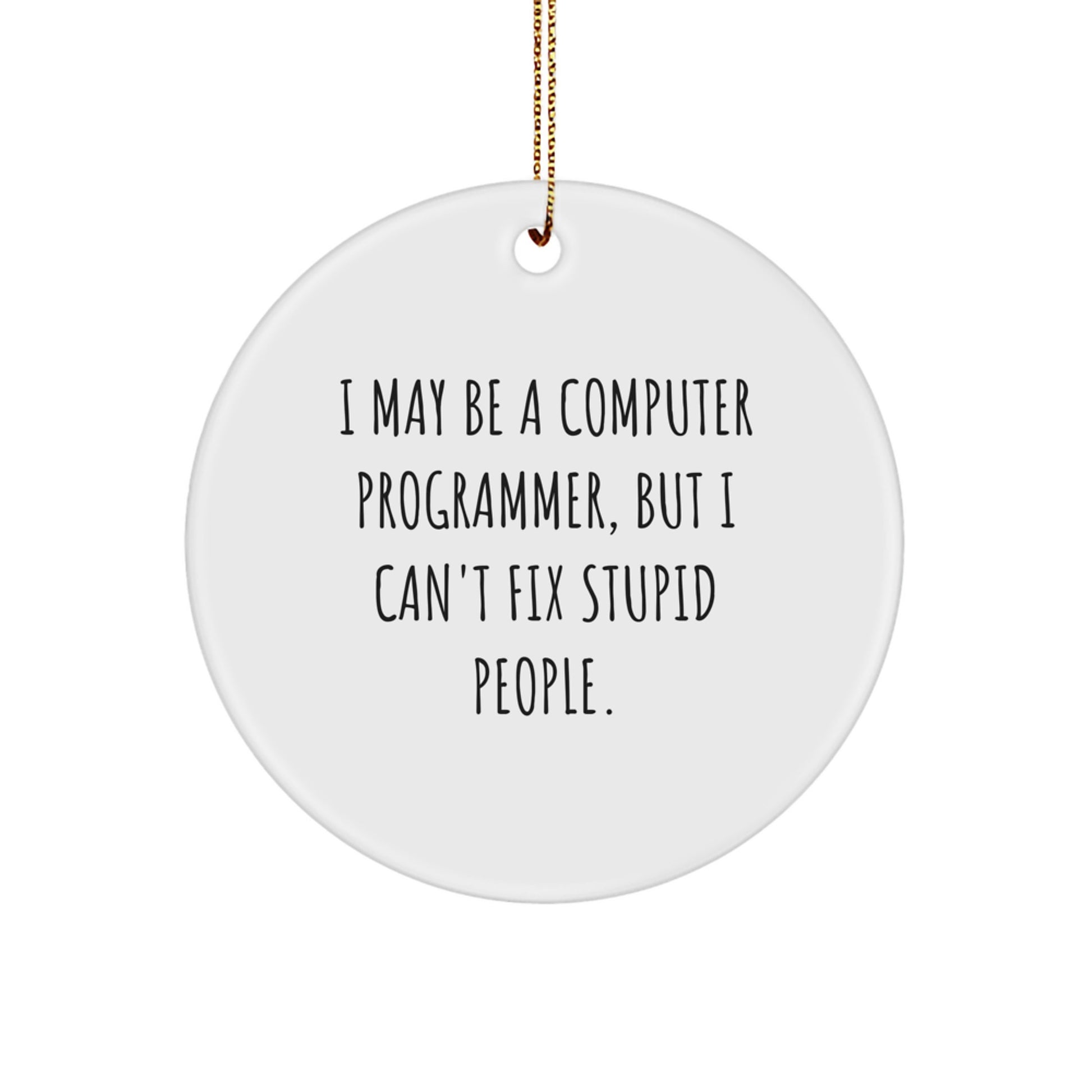 Funny Computer Programmer Gifts from Friends, Men, Coworkers, or Family - 'I May Be A Computer Programmer, But I Can't Fix Stupid People.' Circle Ornament for Christmas Unique Gifts - Image 1