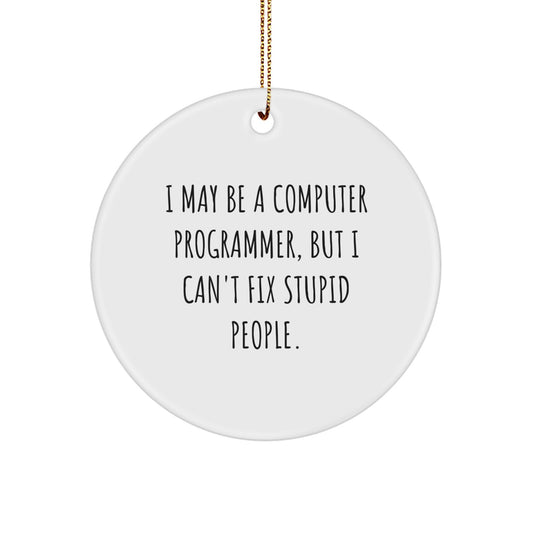 Funny Computer Programmer Gifts from Friends, Men, Coworkers, or Family - 'I May Be A Computer Programmer, But I Can't Fix Stupid People.' Circle Ornament for Christmas Unique Gifts - Image 1