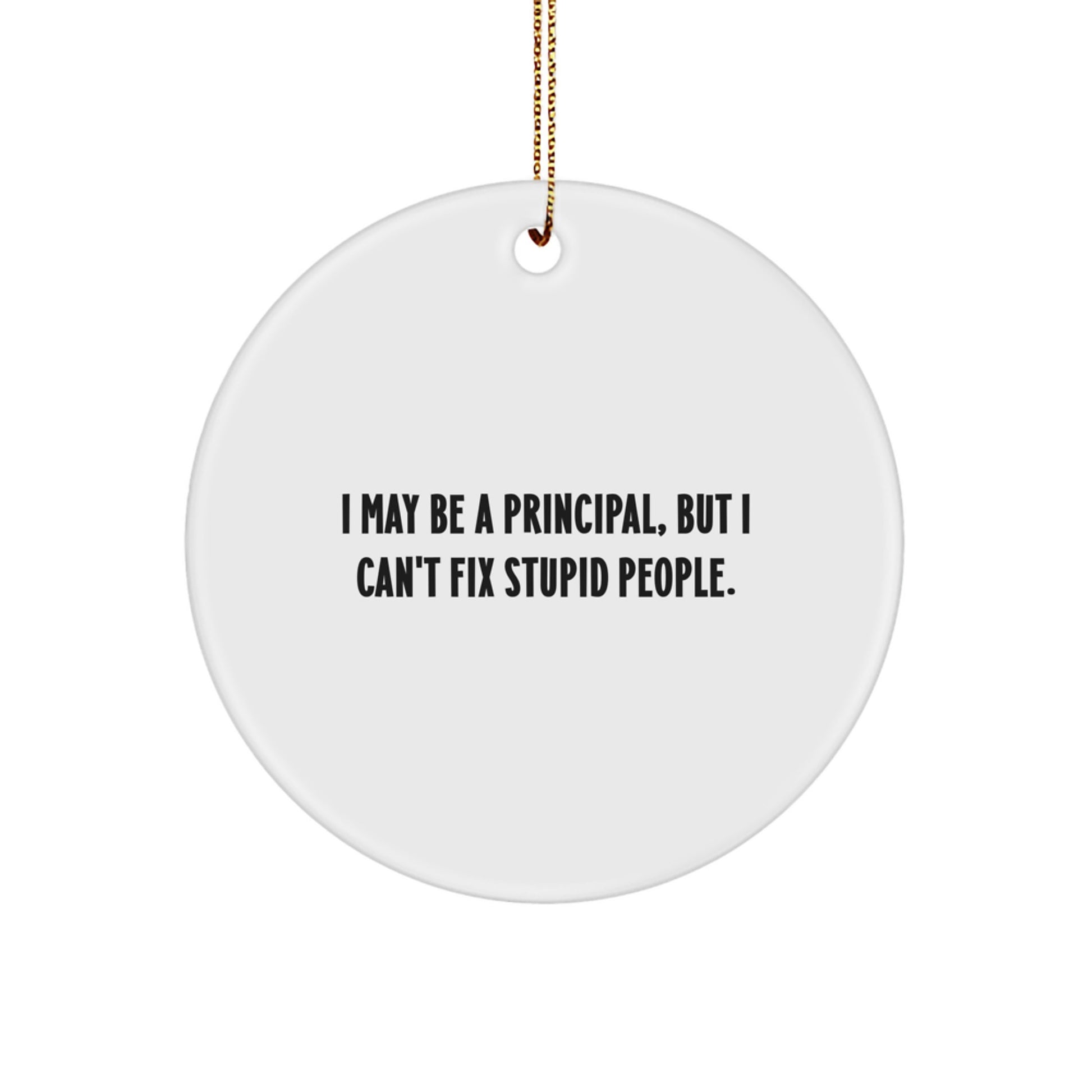 Gifts from Men to Principal - I May Be A Principal, But I Can't Fix Stupid People. Funny Principal Circle Ornament for Christmas Unique Gifts - Image 1