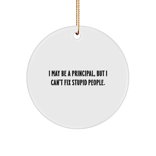Gifts from Men to Principal - I May Be A Principal, But I Can't Fix Stupid People. Funny Principal Circle Ornament for Christmas Unique Gifts - Image 1