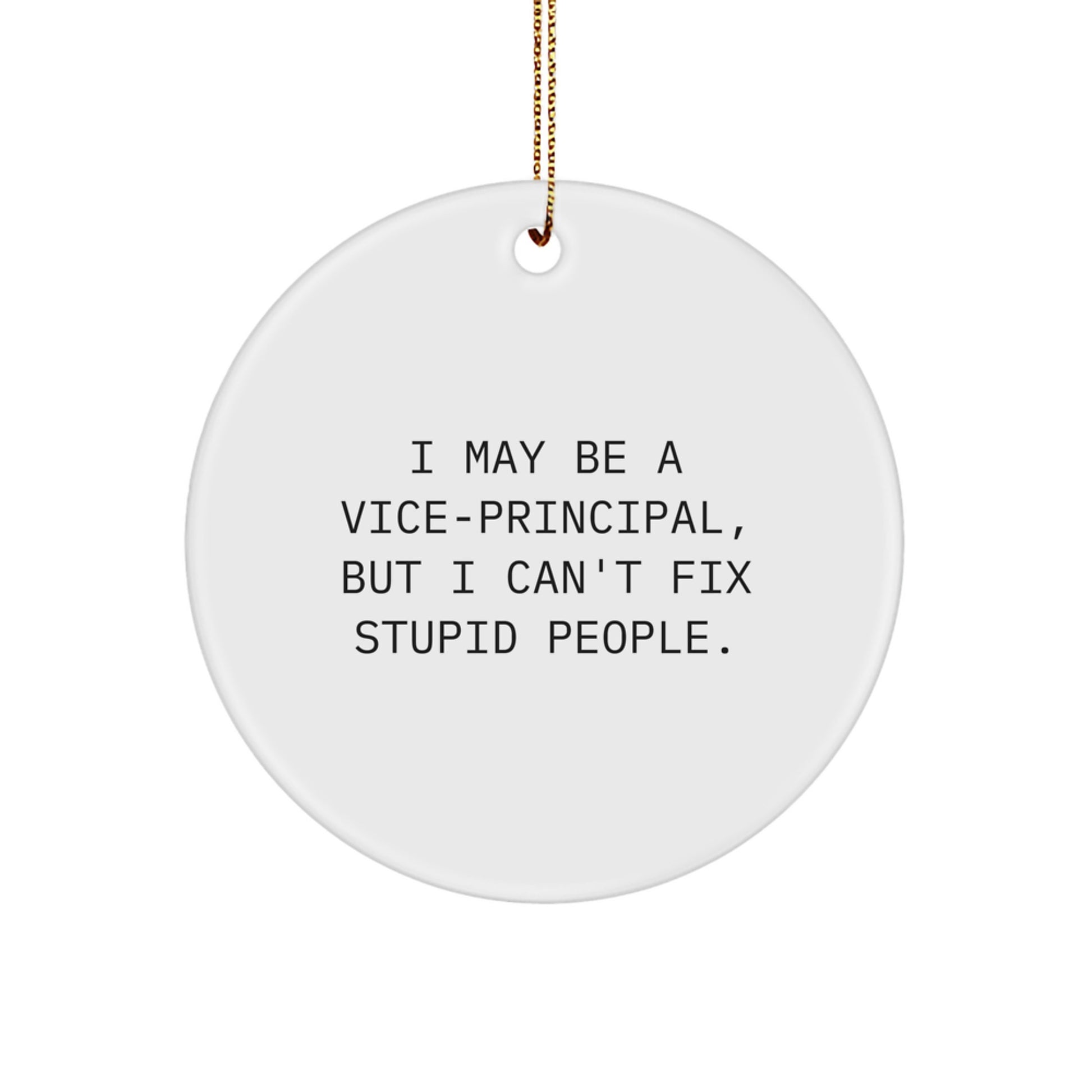 Funny Vice-principal Gifts for Men - I May Be A Vice-principal, But I Can't Fix Stupid People. Christmas Circle Ornament - Gifts from Family for Vice-principal - Image 1