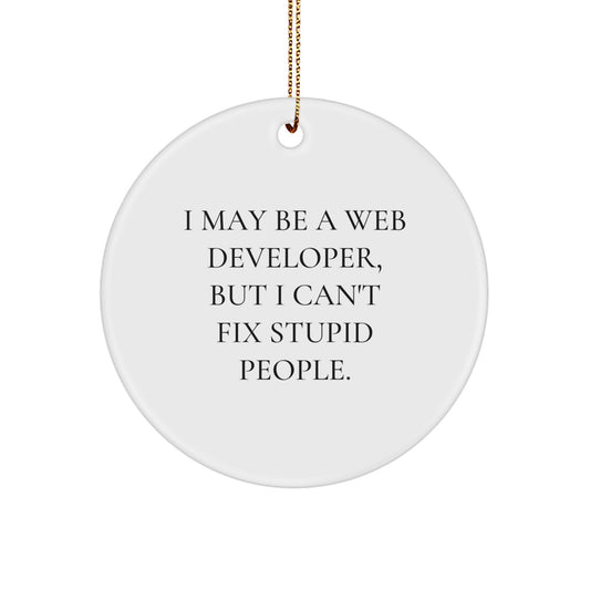 Funny Web Developer Gifts from Men, Circle Ornament for Web Developers, I May Be A Web Developer But I Can't Fix Stupid - Christmas Unique Gifts for Family - Image 1